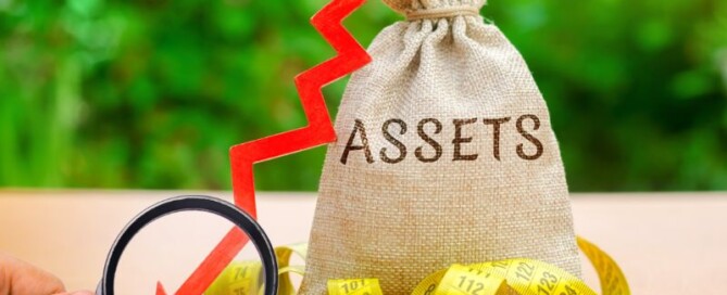 asset management system