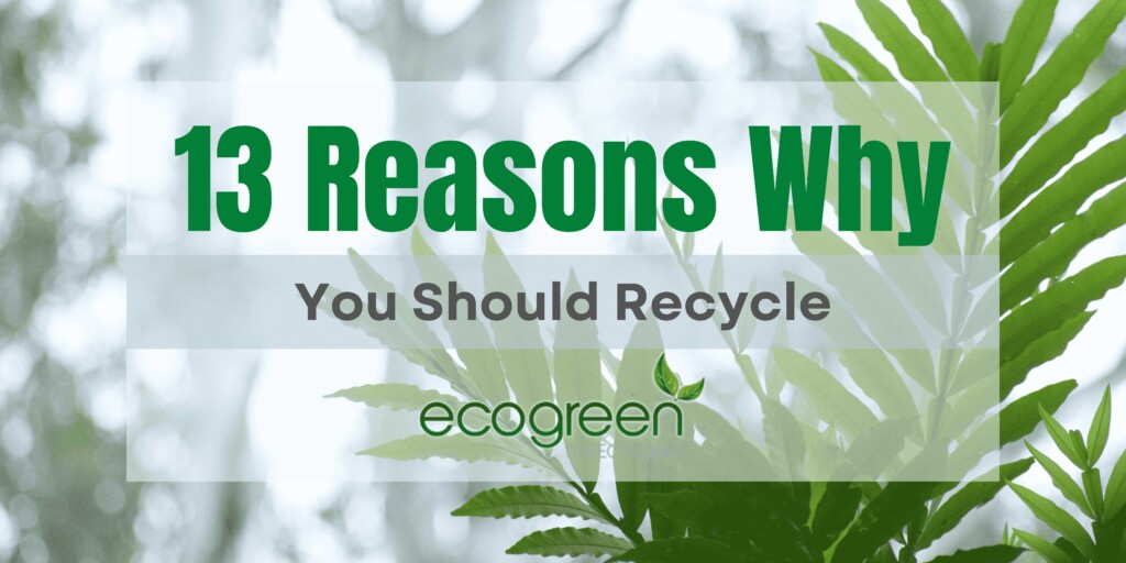 13 Reasons Why You Should Recycle – An Account on the Importance of Recycling
