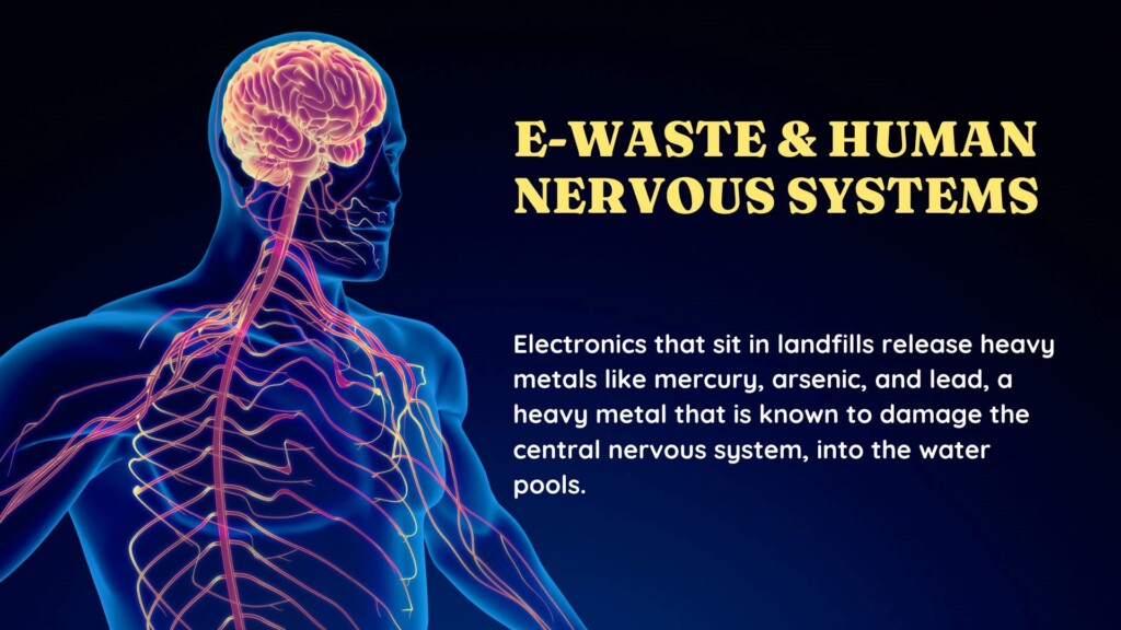 E-Waste and Human Nervous Systems